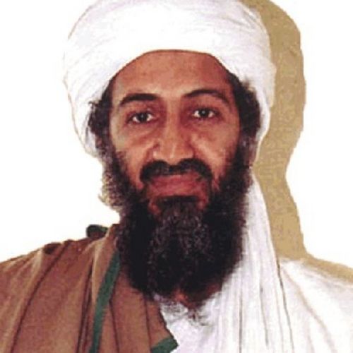 Osama Bin Laden Essay