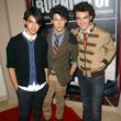 Die Jonas Brothers wollen eine Welttournee! Die Jonas Brothers wollen eine Welttournee!