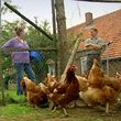 Im Jahr 2007 war sie Kandidatin bei Schwiegertochter gesucht!