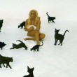 Für PETA machte sich die Katze nackig