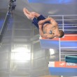 Fabian Hambüchen holte Silber