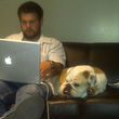 Die Bulldogge verstarb im Alter von 12 Jahren Die Bulldogge verstarb im Alter von 12 Jahren