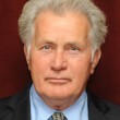 Auch der Name Martin Sheen ist ein Synonym des Schauspielers Ramón Antonio Gerardo Estévez