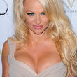 Auch das Tape von Pamela Anderson und ihrem Ex Tommy Lee drohte, zerstört zu werden