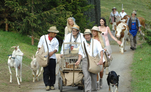 Die Alm - Heute zogen die Kandidaten auf die Alm