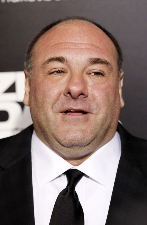 James Gandolfini ist an einem Herzinfarkt gestorben