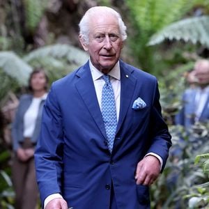 Gärtner von König Charles kündigen wegen niedriger Löhne