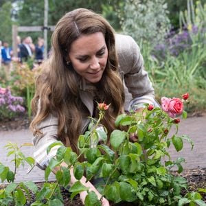 Fans begeistert: Prinzessin Kate verzichtet auf Handschuhe