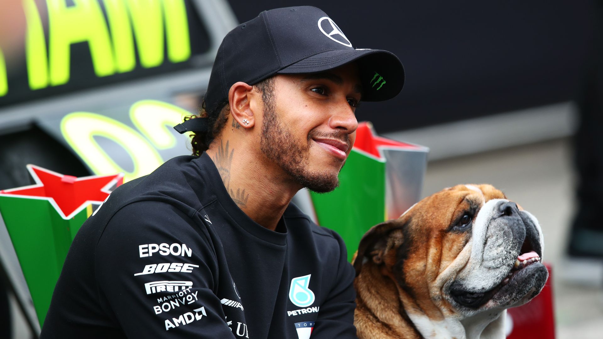 Lewis Hamilton sorgt sich um seine geliebte Bulldogge Roscoe