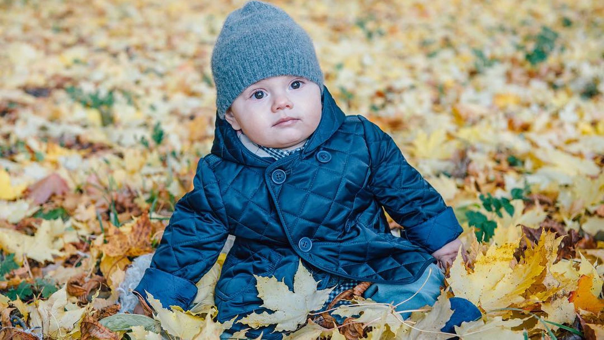 Süßer SchwedenSpross Prinz Oscar chillt im Herbstlaub Promiflash.de Süßer SchwedenSpross Prinz Oscar chillt im Herbstlaub Promiflash.de