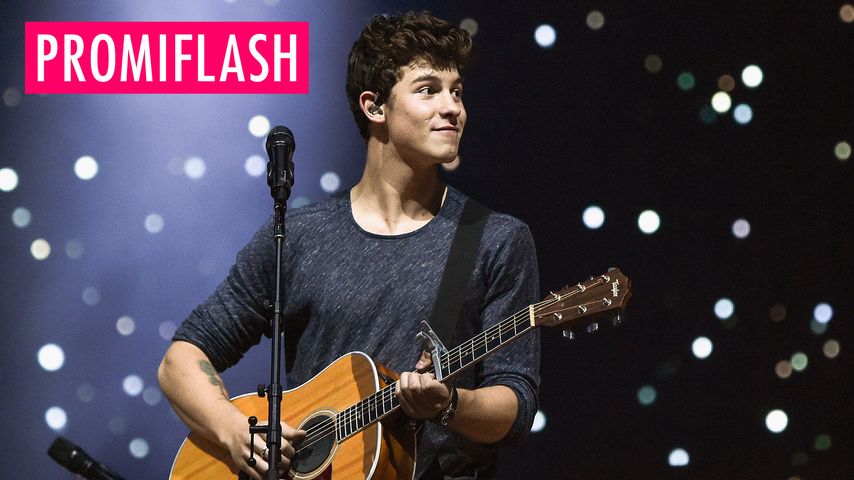 Shaw Definition Und Bedeutung | Shawn Mendes – PNSWG