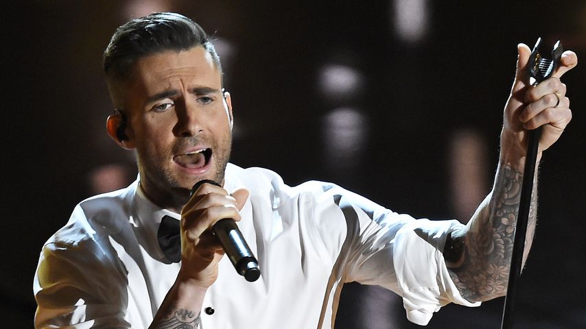 Adam Levine, "The Voice"-Coach