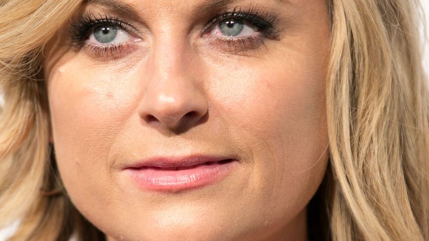 Amy Poehler