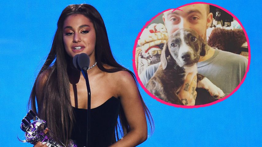 Ariana lässt Pete-Tattoo mit Mac-Miller-Motiv überstechen