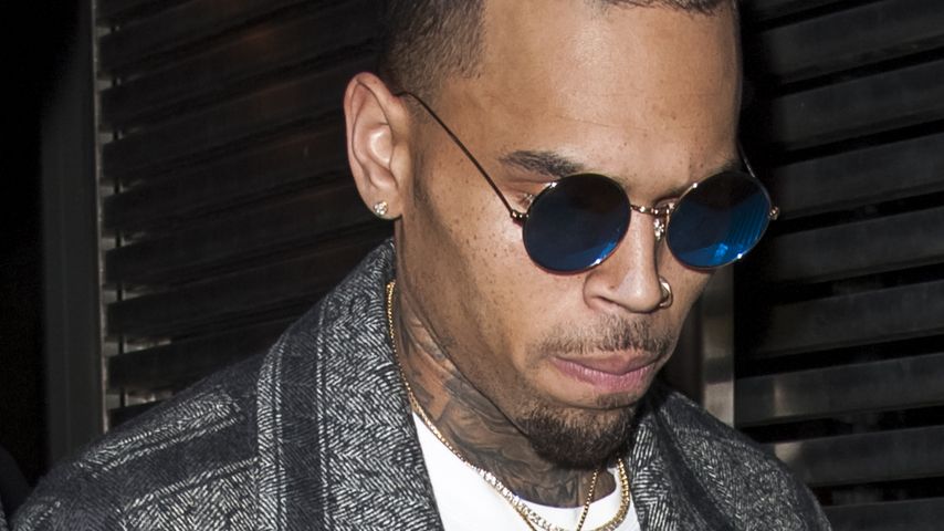 Chris Brown, Musiker