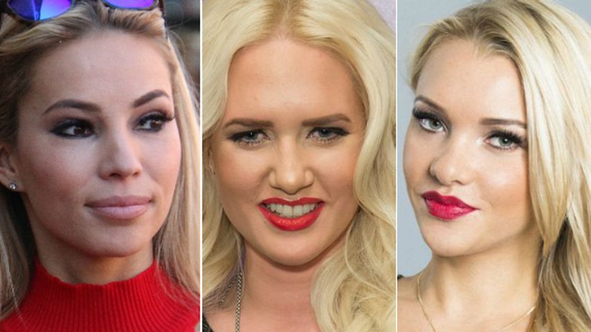 Zicken-Kampf & Busen-Show? Die Promi-BB-Blondinen im Check!