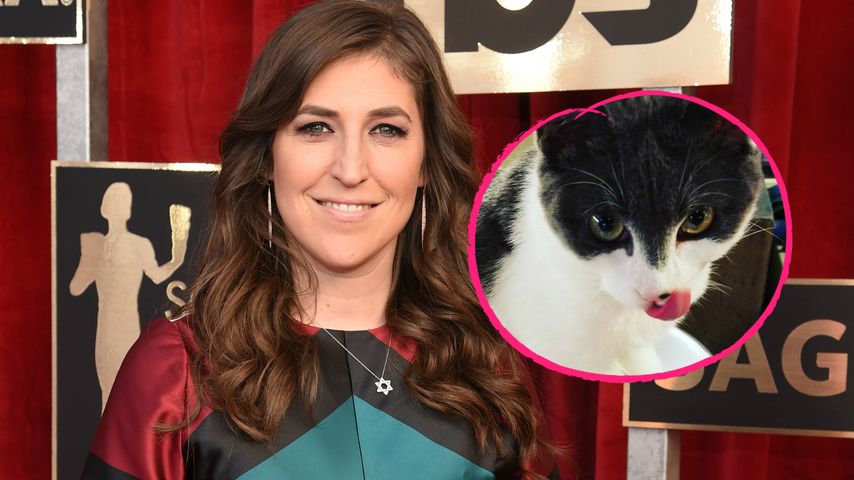 Stimmbänder kaputt: So tierisch süß wird TBBT-Amy getröstet!