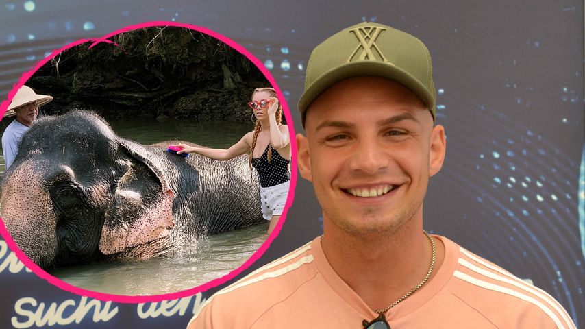 Elefanten-Schau: Pietro zeigt DSDS-Einblicke aus Thailand