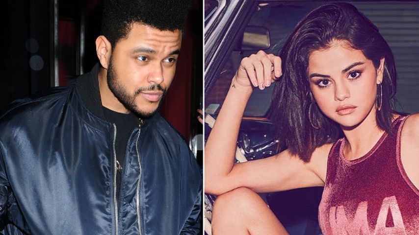 Schlag gegen The Weeknd-Songs? Sel Gomez rockt im Auto ab