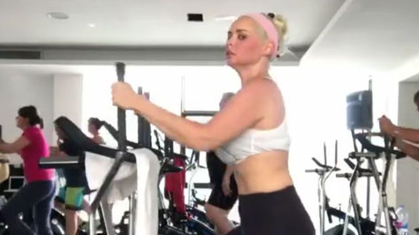 Bauchfrei & mit roter Birne: Die Katze gibt Vollgas im Gym!
