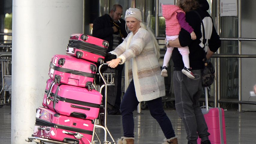 Jetset-Frust? Die Katze stemmt pinke Koffer-Flut mit Schnute