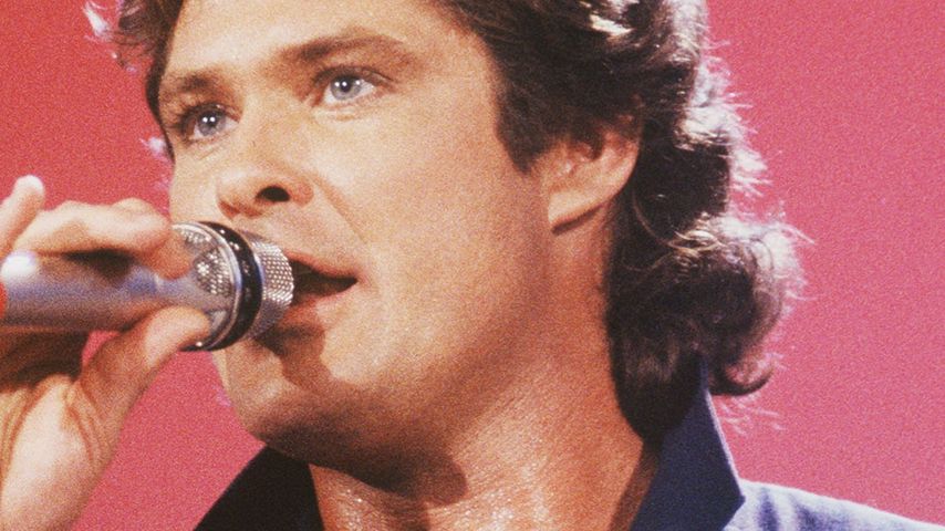 David Hasselhoff