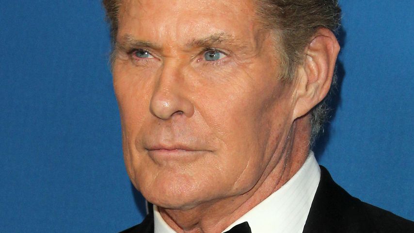 David Hasselhoff, Musiker