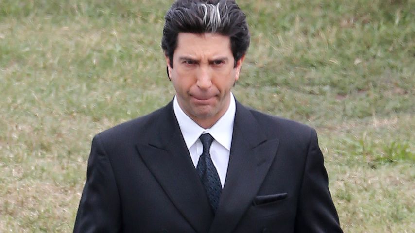 David Schwimmer