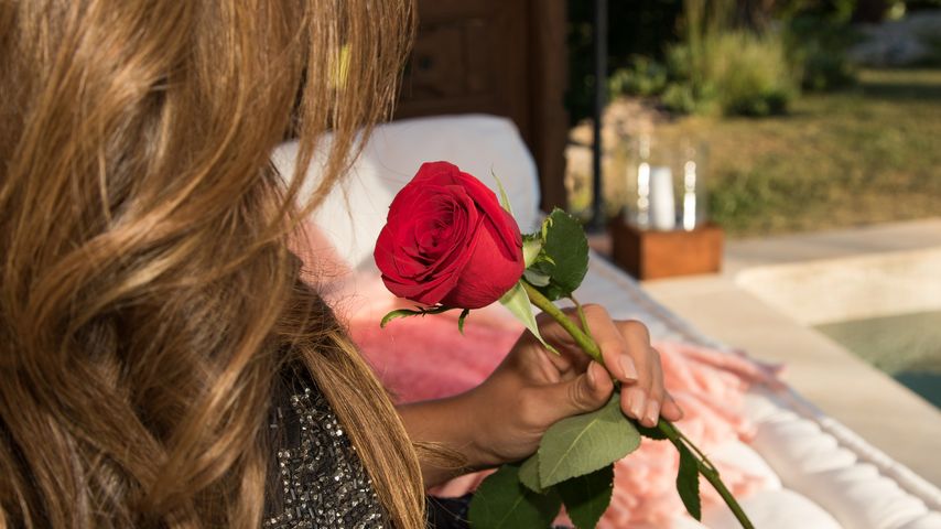 Die Bachelorette