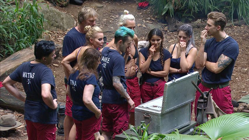 Schnarch-Camp 2018: Darum floppte der Dschungel im TV!