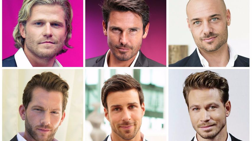 Bachelor-Ranking: Dieser Rosenkavalier ist am beliebtesten!