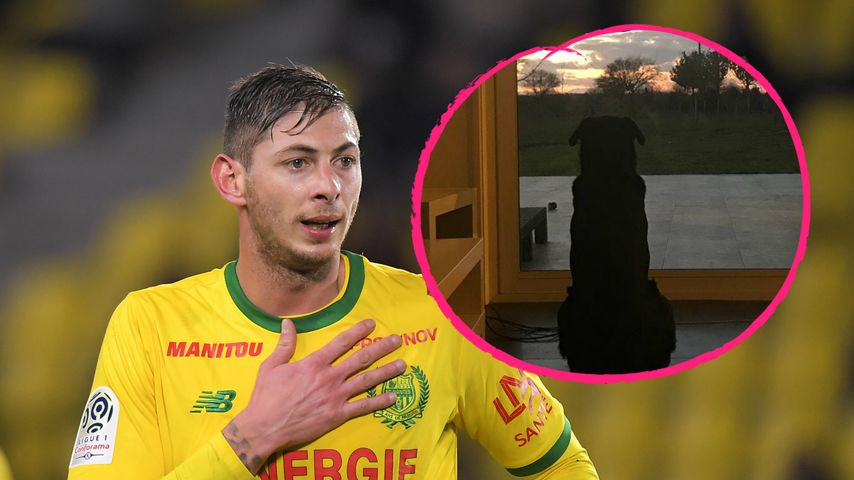 Emiliano Sala Tot Emiliano Sala Tot