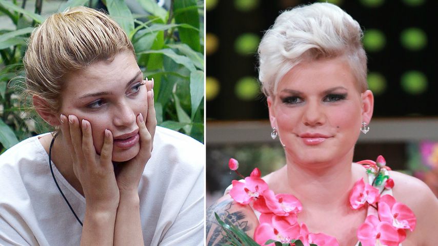 Melli Müller: "Giuliana hat mit Schnippi auch Hirn verloren"