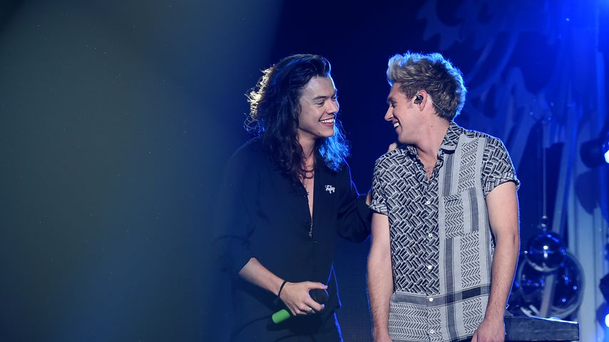 Harry Styles und Niall Horan auf der Bühne