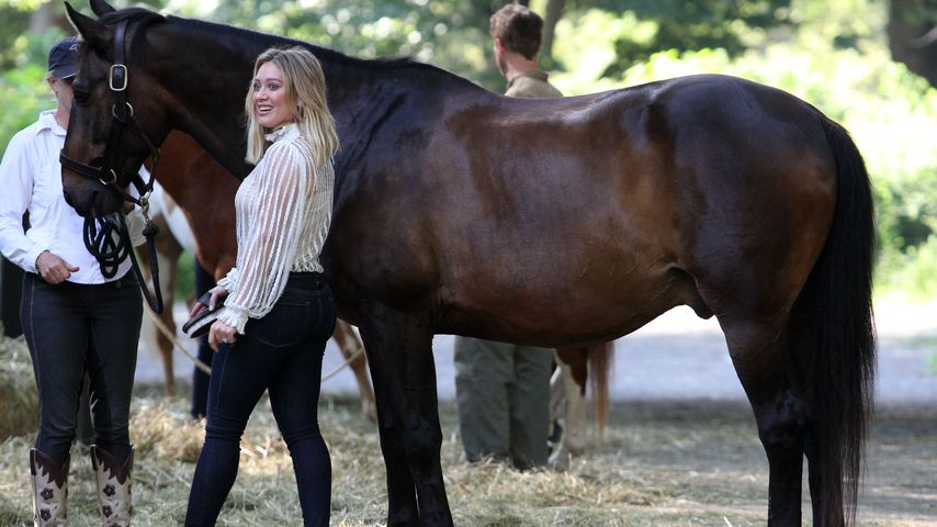 Hilary Duff bei Dreharbeiten mit einem Pferd im Central Park