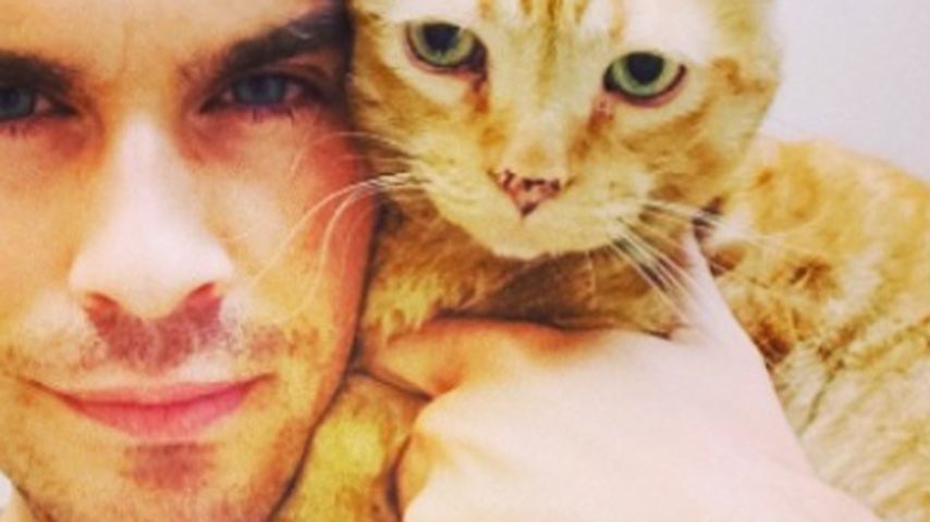 Ian Somerhalder