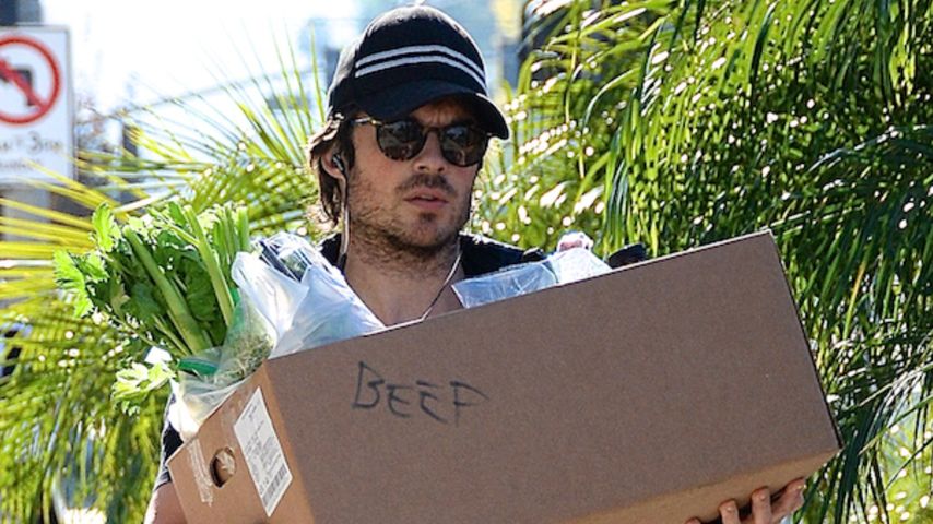 Ian Somerhalder