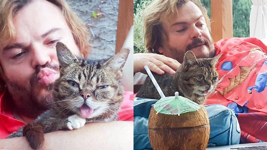 Schauspieler Jack Black und Internet-Star Lil Bub