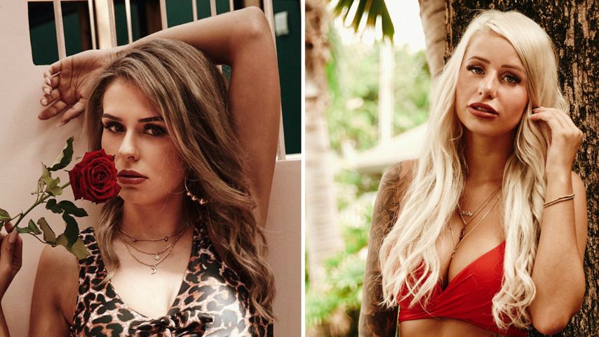 Gibt es bei "Bachelor in Paradise" Bitch-Fight des Jahres?