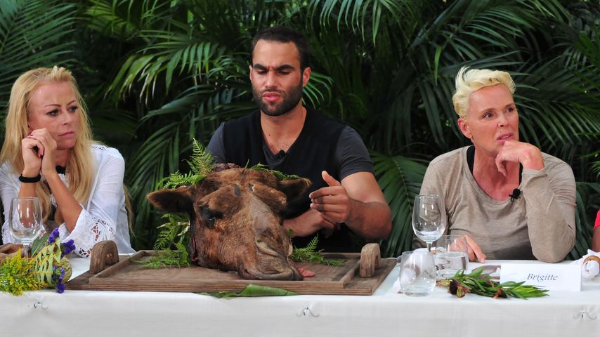 Jenny Elvers, David Ortega und Brigitte Nielsen