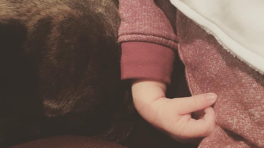 Kaya Scodelarios Sohn mit Hund Arnie