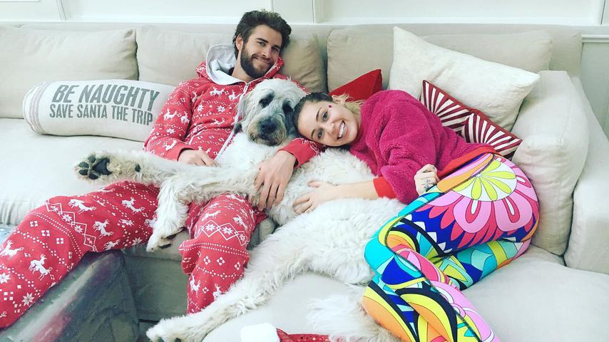 Liam Hemsworth und Miley Cyrus mit ihrem Hund Dora an Weihnachten 2016