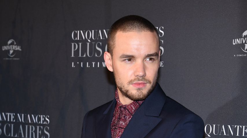 Liam Payne, Sänger