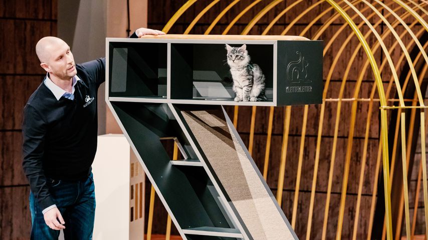 Lutz Spendig mit der Katzenmöbelserie "Kletterletter"