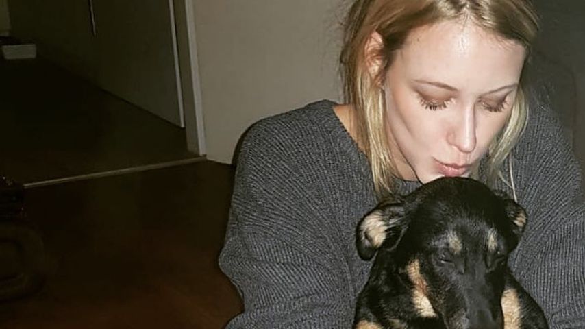 Leute mit hund kennenlernen