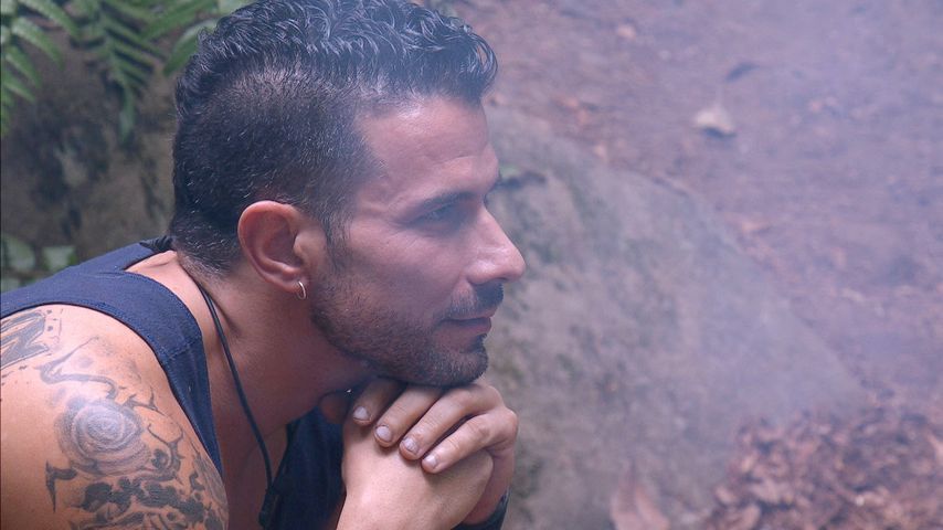 Marc Terenzi, Gewinner von "Ich bin ein Star – Holt mich hier raus!" 2017