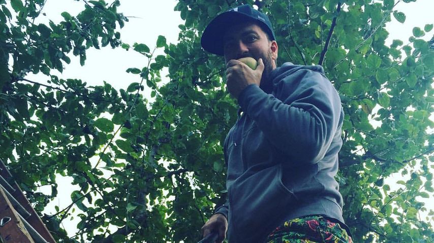 Marteria