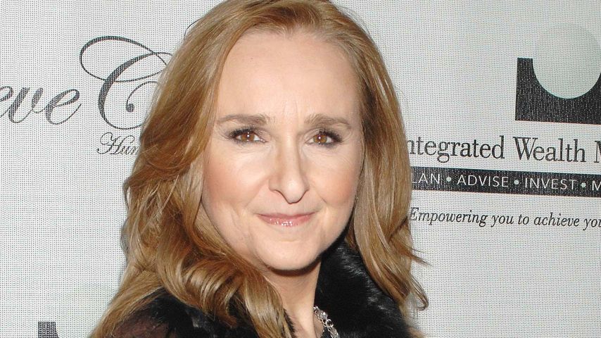 Melissa Etheridge, Rockmusikerin