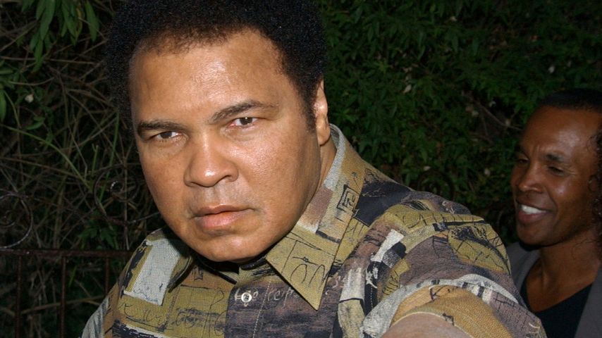 Muhammad Ali, Boxlegende