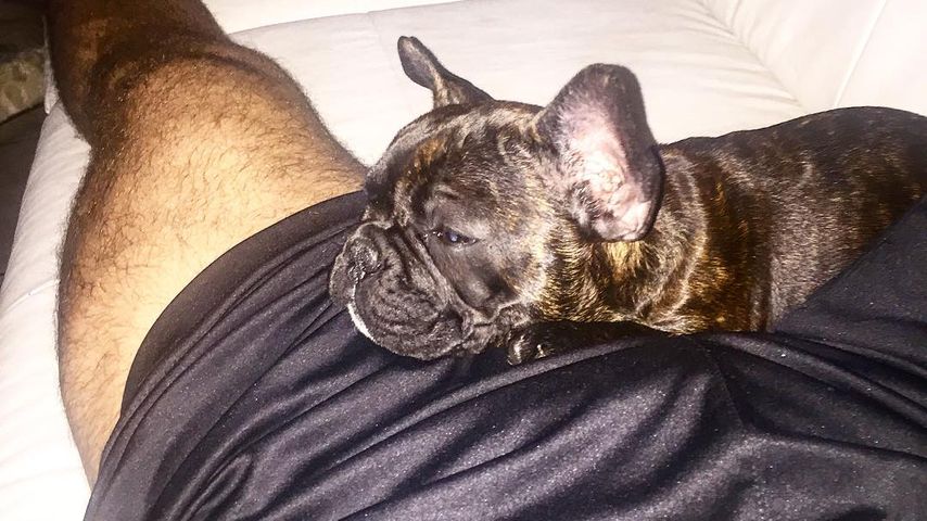 Oliver Sanne mit seiner Hündin Chloe